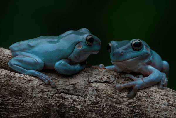 Quelle est la meilleure manière de combiner des matières contrastées comme le cuir et la dentelle?