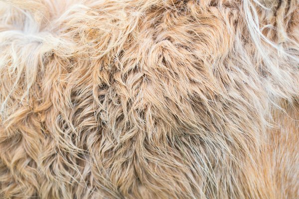 Comment porter des accessoires en fourrure de façon éthique et tendance?